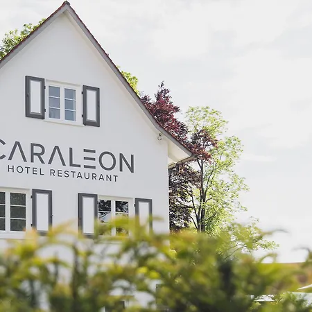 Caraleon فاسربرغ
